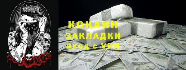 винт Кострома